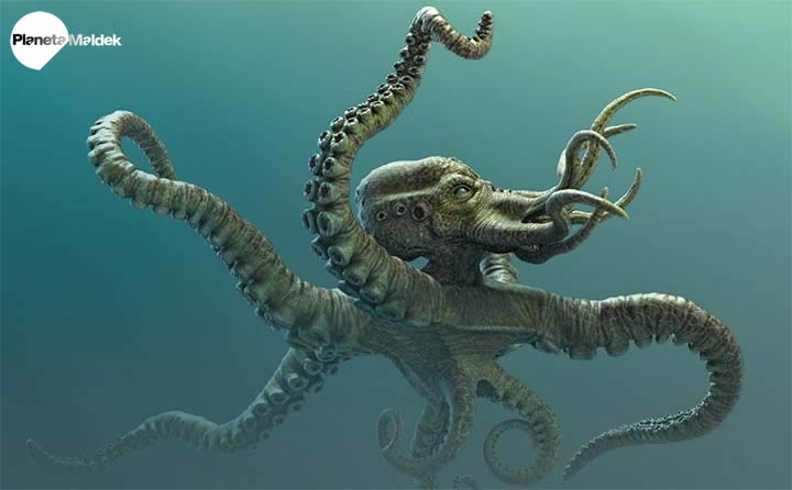 ¿Existió realmente el Kraken? Estos fósiles podrían demostrarlo