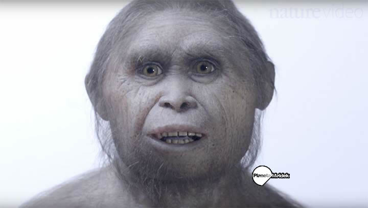 Especie humana del Homo floresiensi