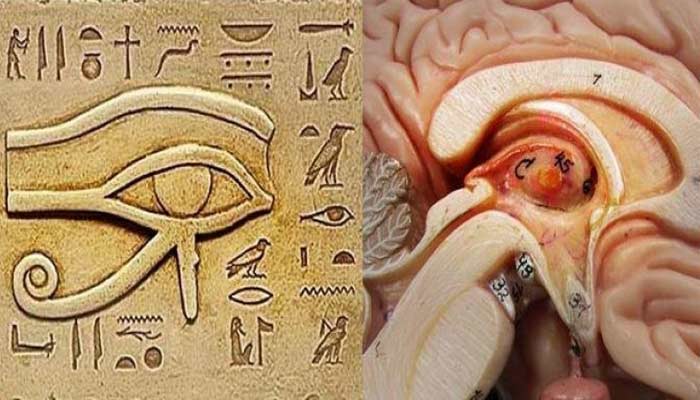 El Ojo de Horus: los secretos de un símbolo antiguo y poderoso