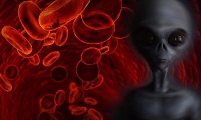 Humanos con sangre RH negativo pertenecerían a un linaje extraterrestre