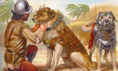 Becerrillo: el terrible perro de guerra de los conquistadores españoles