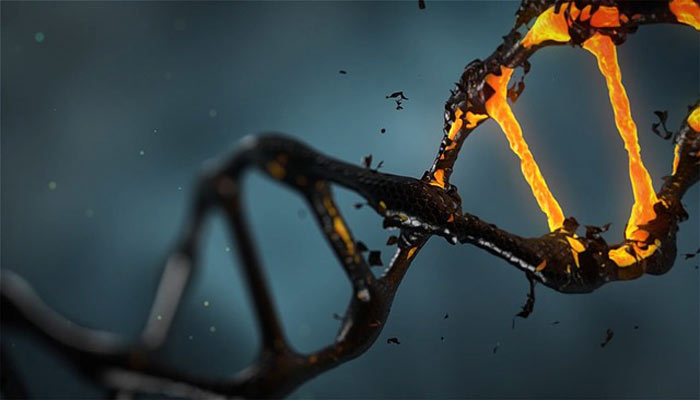 Alienígenas habrían codificado mensajes en nuestro ADN