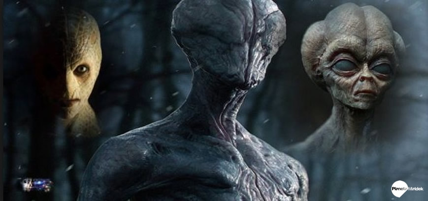 5 millones de extraterrestres viven en EE. UU. con forma humana, dice investigador