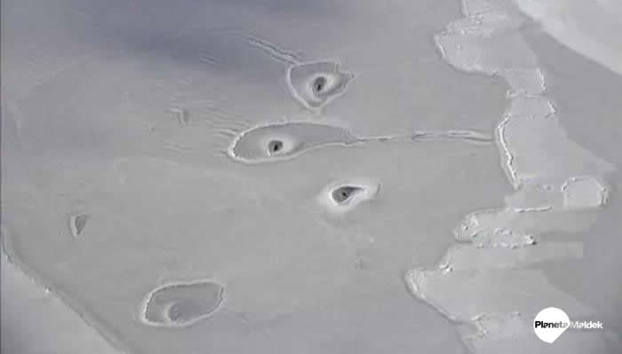 Extraños agujeros se abren en el hielo del Ártico en Groenlandia (Video)