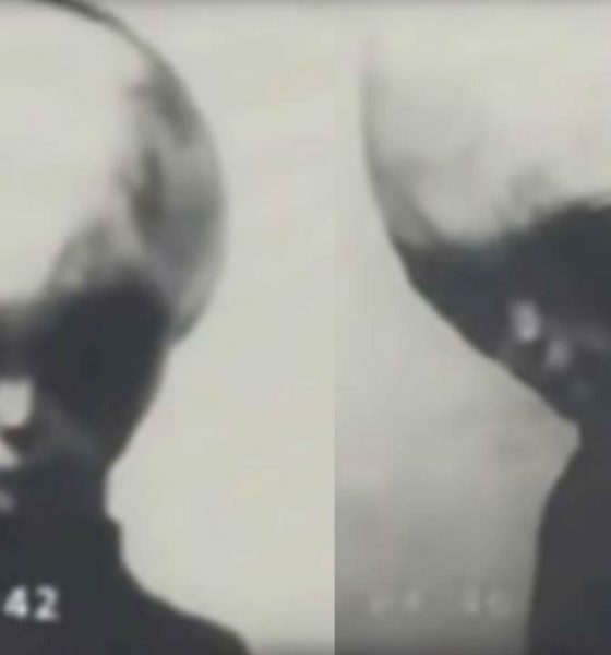 El vídeo filtrado de un "alienígena" gris sobreviviente de Roswell