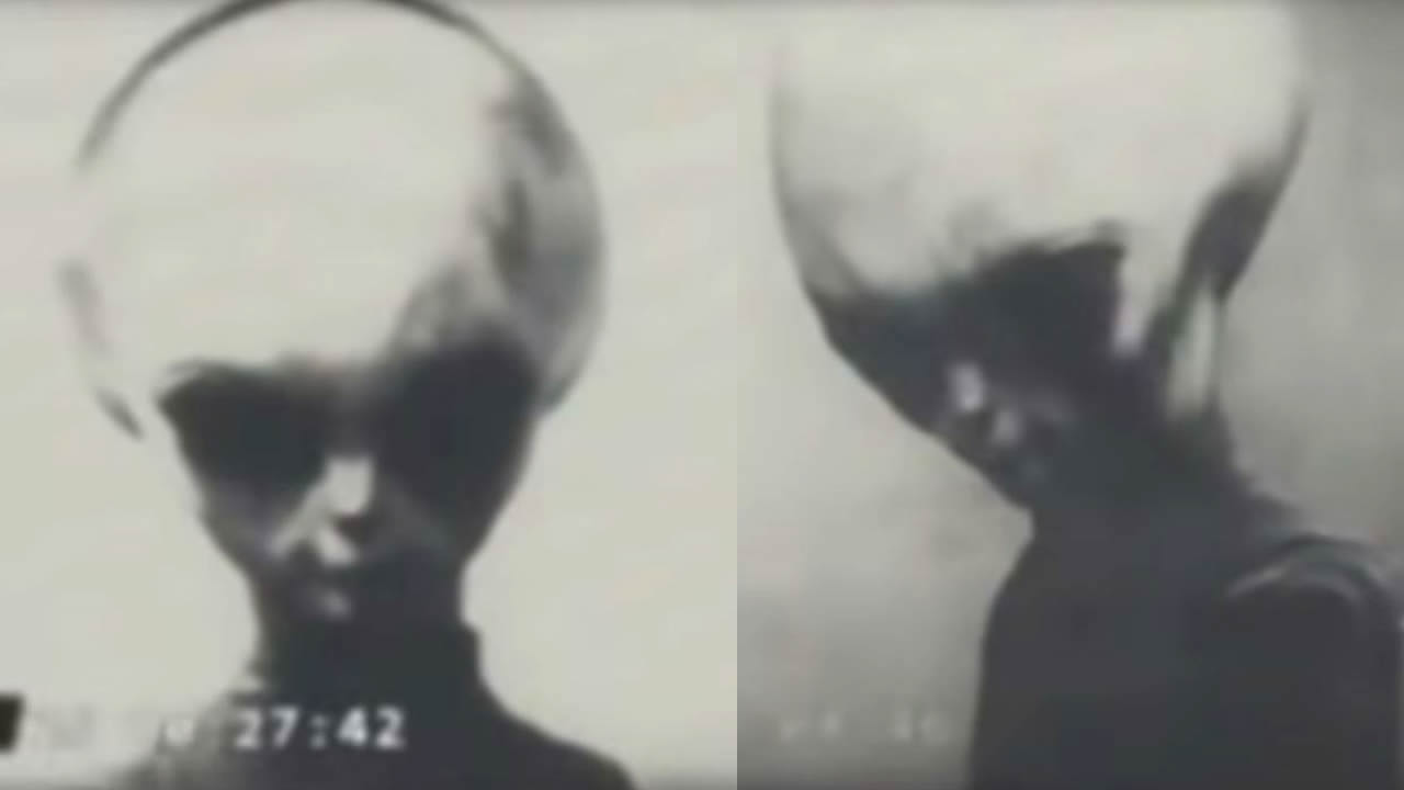 El vídeo filtrado de un "alienígena" gris sobreviviente de Roswell