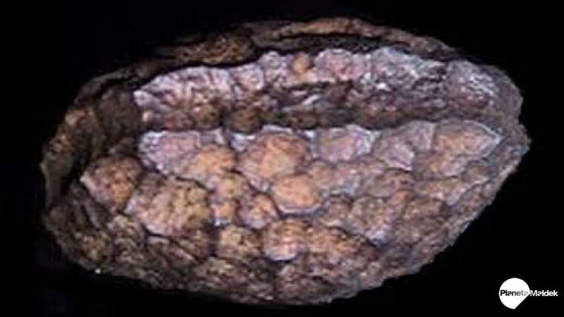 Hierro de Wolfsegg: ¿artefacto creado por el hombre hace 60 millones de años?