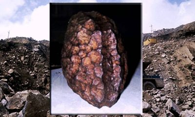 Hierro de Wolfsegg: ¿artefacto creado por el hombre hace 60 millones de años?