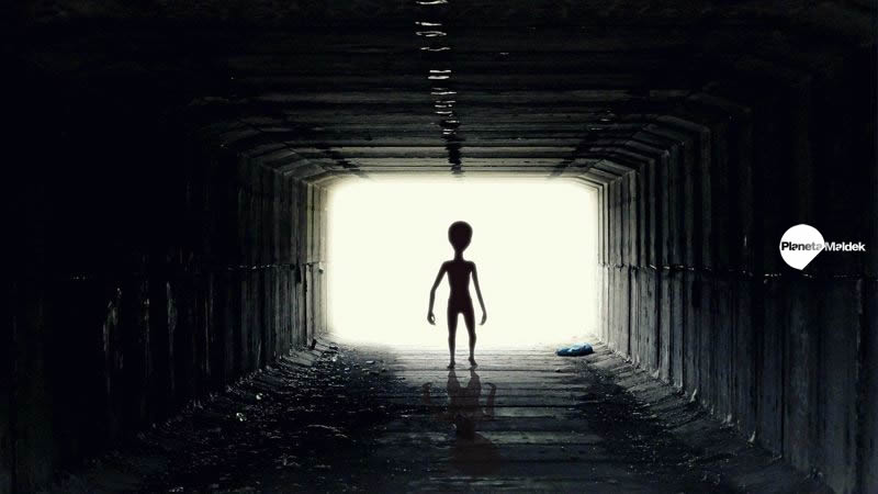 ¿Por qué los extraterrestres entran en contacto con los humanos?