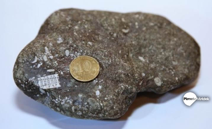 El supuesto microchip incrustado en una roca de cientos de millones de años
