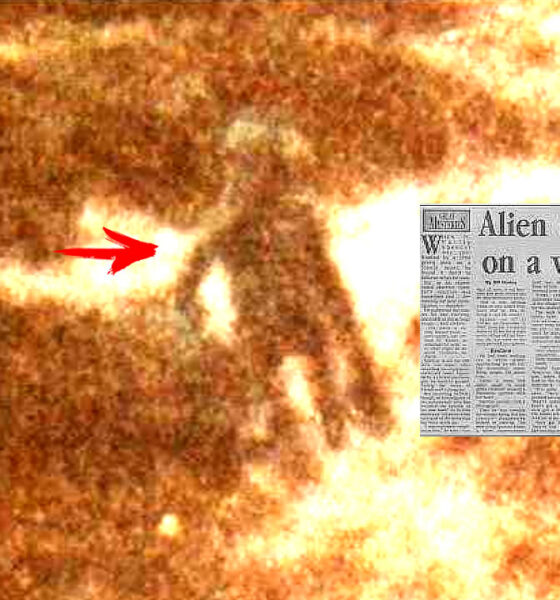 Oficial de Policía británico tomó la fotografía más confiable de un alienígena en 1987