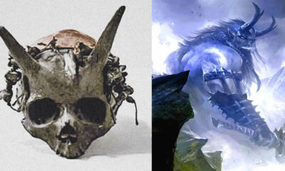 Ancestral "cráneo con cuernos" hallado en una excavación en 1880