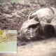 Los esqueletos "gigantes" Quinametzin hallados en México