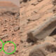 Una extraña roca en Marte con "ángulos rectos" divide la opinión de los investigadores