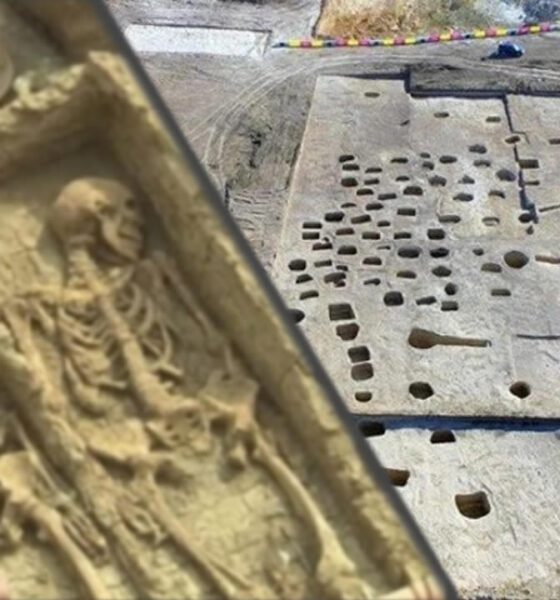 Descubren un "cementerio" de antiguos gigantes de 1.000 años en Crimea