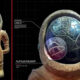 Extraña estatua de tres mil años representaría a un antiguo astronauta. Hallada en Capadocia, Turquía