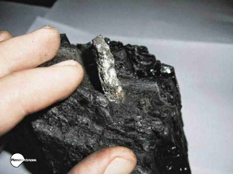 La pieza de carbón hallada incrustada en carbón