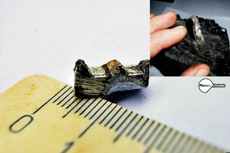 Encontrados hace más de 300 millones de años, como rieles de metal dentados creados artificialmente, piezas de metal como esta se utilizan a menudo en microscopios, dispositivos técnicos y electrónica