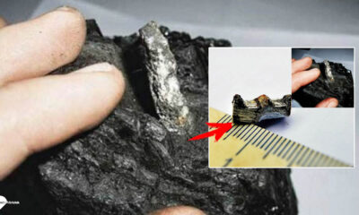 El misterio de la pieza de maquina avanzada de aluminio de 300 millones de años