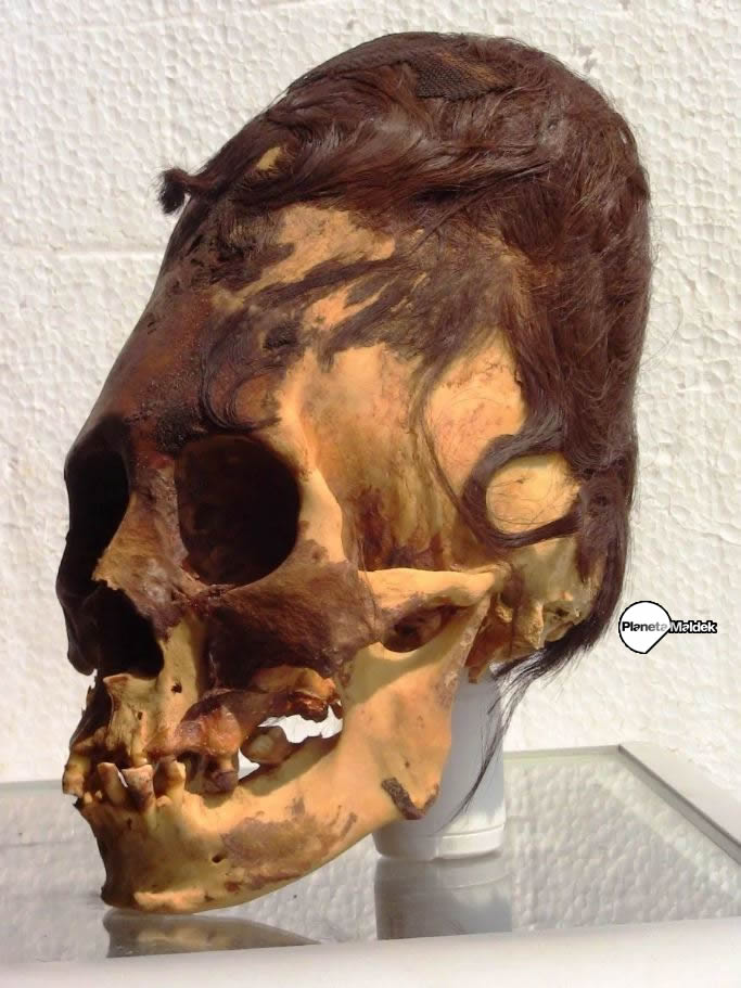 Un cráneo alargado de Paracas