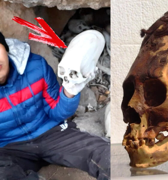 Cráneos alargados de 3.000 años en Paracas, Perú pertenecen a una "raza humana desconocida"