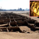 El misterio de la "ciudad dorada" perdida de 3.000 años hallada en Egipto