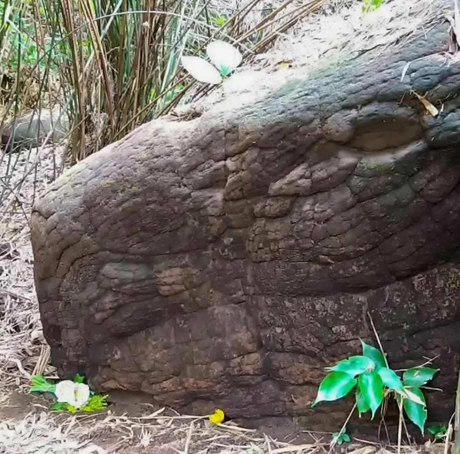 ¿Es una serpiente petrificada en una cueva de Tailandia?
