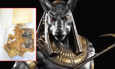 El misterio de los Huesos Negros de Seth: extraños y gigantescos fósiles hallados por los antiguos egipcios