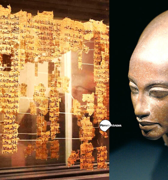 "Ellos" descendieron del cielo y gobernaron durante 36.000 años, revelan papiros egipcios