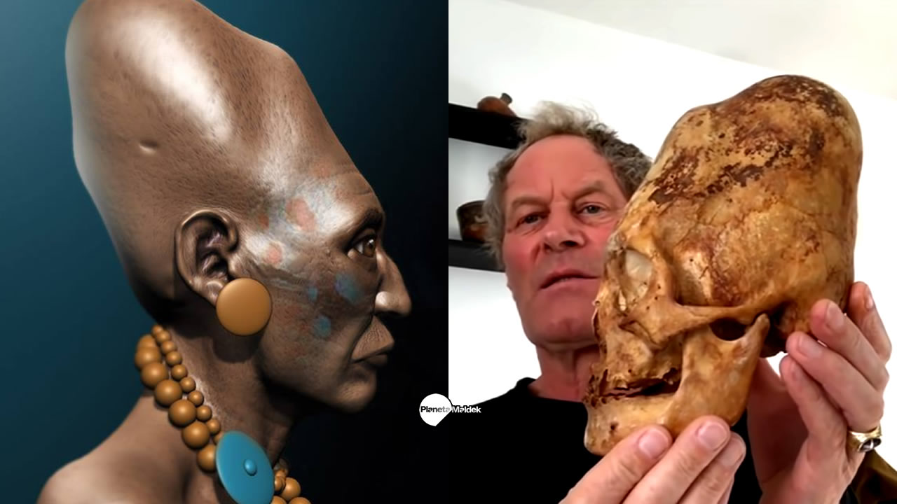¿Pruebas de ADN revelaron que los cráneos Paracas no son humanos?