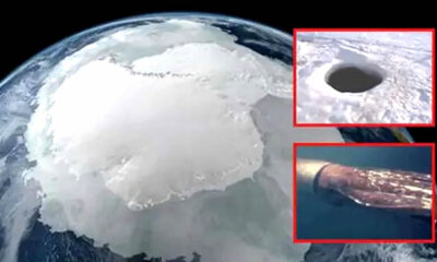 Según científicos rusos: "la Antártida no es lo que se nos ha dicho"