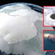 Según científicos rusos: "la Antártida no es lo que se nos ha dicho"