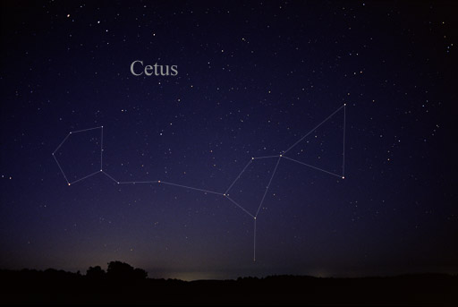 Constelación de Cetus
