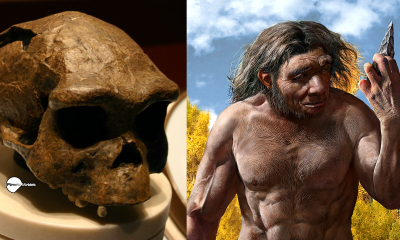 ¿Se encontró ADN alienígena en el cuerpo del ancestro humano más antiguo del mundo?