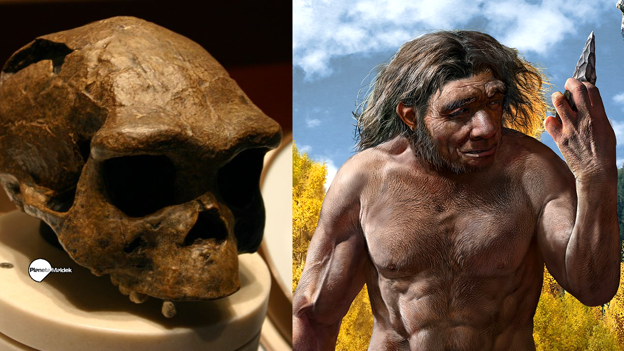 ¿Se encontró ADN alienígena en el cuerpo del ancestro humano más antiguo del mundo?