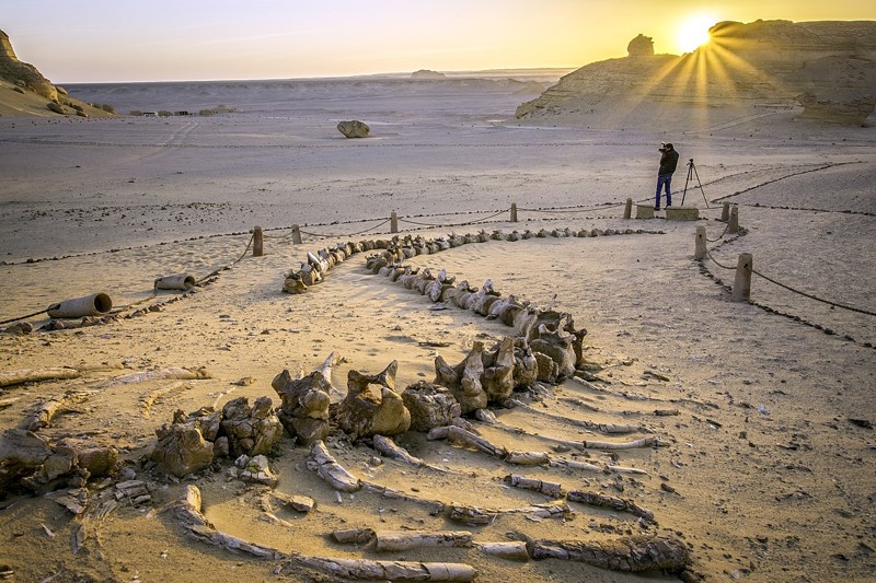 Esqueleto de ballena en Wadi Al-Hitan