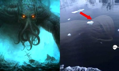 ¿Fue captado un "monstruo marino" aparece en una imagen de la Antártida?