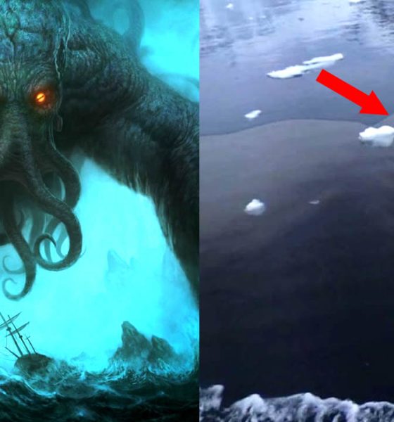 ¿Fue captado un "monstruo marino" aparece en una imagen de la Antártida?