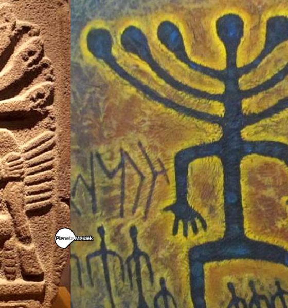 El misterio de la Hidra de siete cabezas: deidad venerada en el mundo antiguo