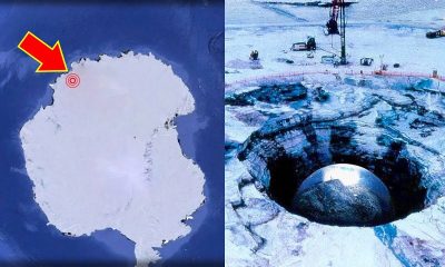 ¿Qué se esconde bajo los glaciares de la Antártida?