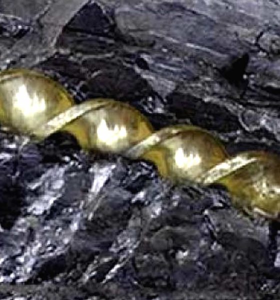 Descubierta una broca metálica de cientos de millones de años incrustada en un fragmento de carbón