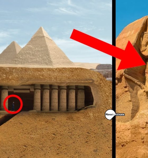 La ancestral Biblioteca oculta bajo la Gran Esfinge de Egipto