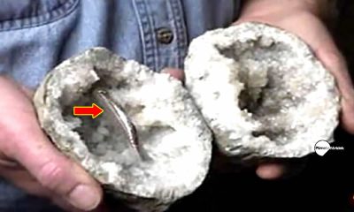 Un misterioso objeto metálico de forma circular fue hallado dentro de una geoda de 200 millones de años