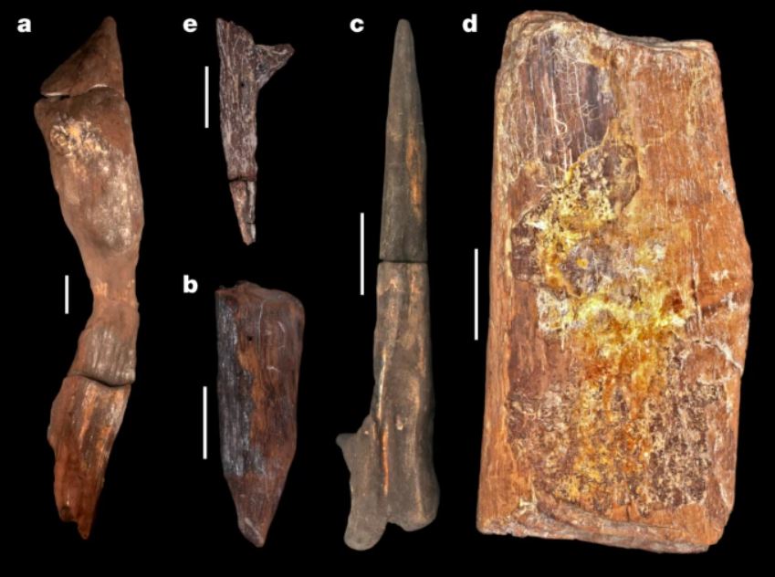 Otros objetos de madera hallados en Zambia.