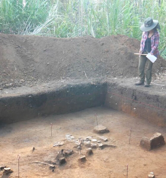 Científicos descubren un paisaje amazónico perdido y revelan un pasado creado por el ser humano