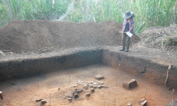 Científicos descubren un paisaje amazónico perdido y revelan un pasado creado por el ser humano