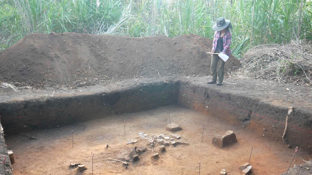 Científicos descubren un paisaje amazónico perdido y revelan un pasado creado por el ser humano
