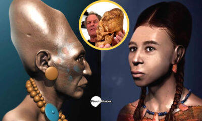 Resultados de análisis de ADN de los cráneos alargados de Paracas revelan que son diferentes a los cráneos humanos convencionales