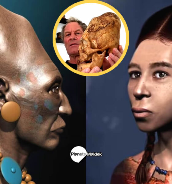 Resultados de análisis de ADN de los cráneos alargados de Paracas revelan que son diferentes a los cráneos humanos convencionales