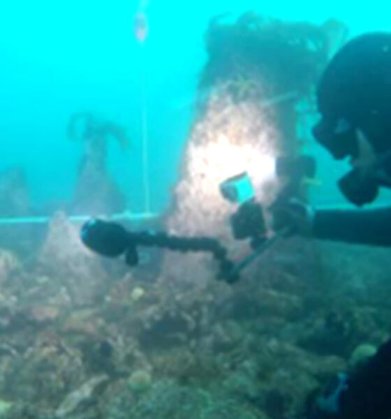 Descubierta una antigua muralla submarina de casi 8.000 años frente a la costa francesa